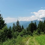 Sanft ansteigend führt der Weg durch Wald und Wiesen