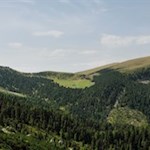 Unser Blick fällt auf die gegenüberliegende Brogles Alm und die Raschötz