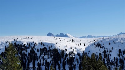 Am Horizont tauchen der Lang- und Plattkofel auf