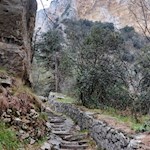 Over numerous stone steps through the gorge