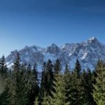 Die Sextner Rotwand ragt hinter den Baumkronen hervor