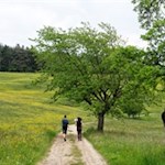 Auf dem gemütlichen Weg Nr. 7B zurück nach Seis