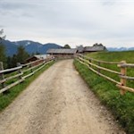 Die letzten Meter zur idyllisch gelegenen Kreuzwiesenalm