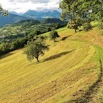 Auf dem Weg Nr. 4 erschließen sich malerische Ausblicke auf die Bischofsstadt und ihre Umgebung