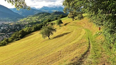 Auf dem Weg Nr. 4 erschließen sich malerische Ausblicke auf die Bischofsstadt und ihre Umgebung