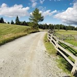 Auf sanften Wegen zur Roner Alm