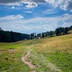 Durch sanfte Almwiesen zur Isi Hütte