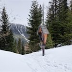 Durch die stille Winterlandschaft zur Stegeralm