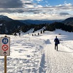 Auf dem Rückweg wählen wir den rechts abzweigenden Winterwanderweg nach Zans