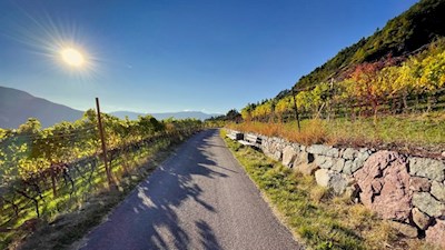 Durch Weinberge zum Signaterhof