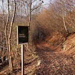 Auf dem Wasserbühelweg