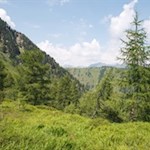 Wer die erholsame Stille der Wälder und Berge sucht, ist im urigen Jaufental genau richtig