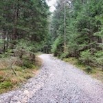 Von der Seilbahn folgt man dem sanft ansteigenden Weg Nr. 8