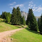 Zunächst führt der breite Wanderweg in Richtung Meran 2000