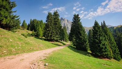 Zunächst führt der breite Wanderweg in Richtung Meran 2000