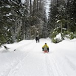 Auf flotten Kufen zurück zum Antholzer See