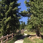 Auf nahezu ebenen Pfaden in Richtung Totensee