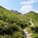 Über Heidehänge auf den Rammelstein