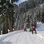 Durch den winterlichen Wald zurück ins Tal