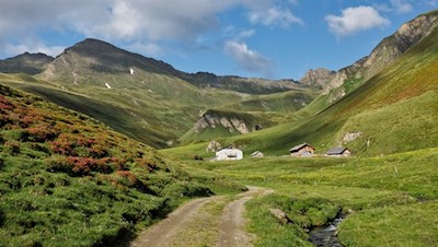Der Weg zum Wilden See führt an der Labesebenalm vorbei