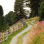 Durch Wiesen und Wälder zur Schatzerhütte