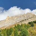 Blick auf den herbstlich gefärbten Latemar