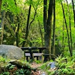 Bänke und Tische laden in der Gaulschlucht zum Verweilen ein