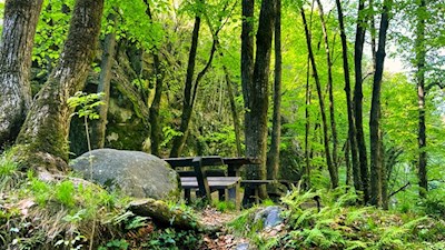 Bänke und Tische laden in der Gaulschlucht zum Verweilen ein