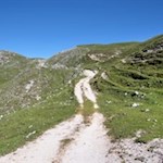 Von der Rossalm folgt man zunächst dem Wanderweg Nr. 3 in Richtung Seekofelhütte