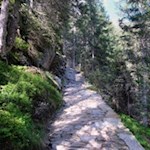 Im steten Anstieg in Richtung Burkhardklamm