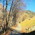 Am Mühlenlehrpfad im sonnenverwöhnten Terenten