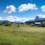 Compatsch auf der Seiser Alm