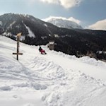 Vergnügliche Abfahrt auf der Rodelbahn Reinswald