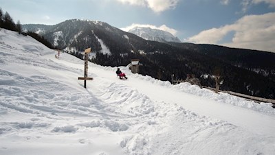 Vergnügliche Abfahrt auf der Rodelbahn Reinswald