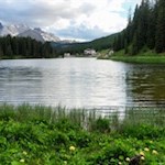 „Die Natur allein ist unendlich reich und sie allein bildet den großen Künstler.“ (J. W. von Goethe)