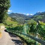 Climb along the orchards to Pradello