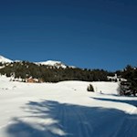 Die Freundalm zu Füßen der Telfer Weißen