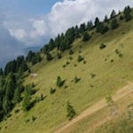 Der schmale Steig quert steil abfallende Hänge