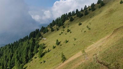 Der schmale Steig quert steil abfallende Hänge