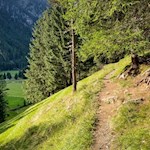 Sanft zieht sich der Moosweg in Richtung Kurzkofelhütte