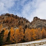 Auf leisen Sohlen naht der Winter
