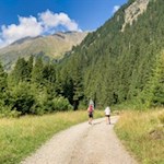 Sanft zieht sich der Wanderweg zur Stadlalm