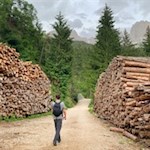 Blick auf die Rotwand 