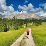 Vor der Kulisse des Rosengarten zurück zur Nigerstraße
