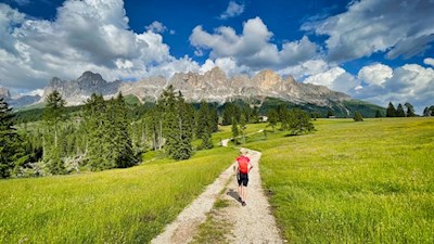 Vor der Kulisse des Rosengarten zurück zur Nigerstraße