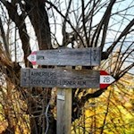 Die Wanderung nach Gifen ist gut ausgeschildert