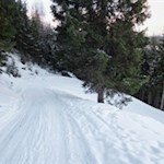 Sanft, aber stetig windet sich der Weg zur Sattelbergalm