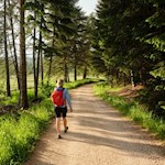 Wanderung auf dem Salten