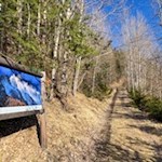 Bergfotografien säumen den Anstieg zur Burg Sprechenstein
