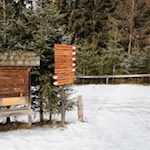 Am Wanderparkplatz folgt man der Beschilderung Nr. 15 in Richtung Talstation Gitschberg 